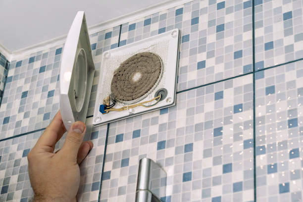 Best Air Duct Mold Removal  in Westville, IN
